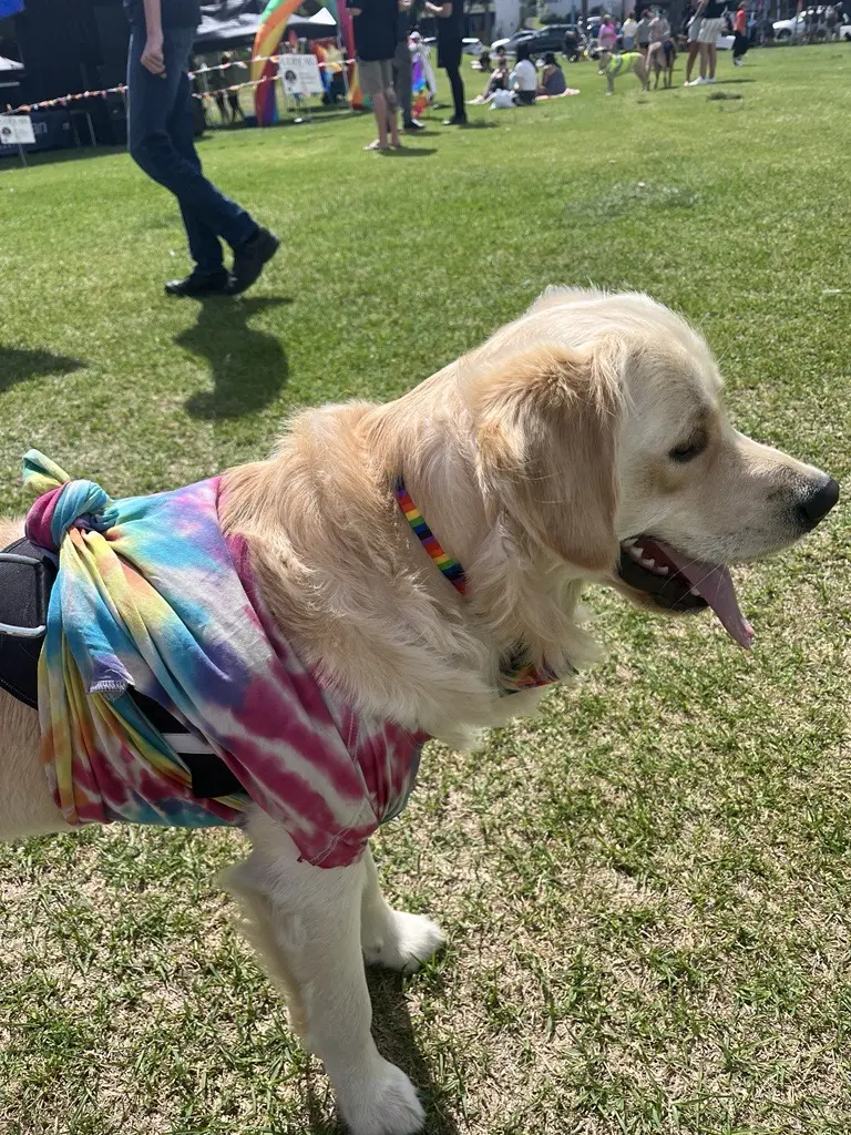 2024 07 Sunny in Rainbows