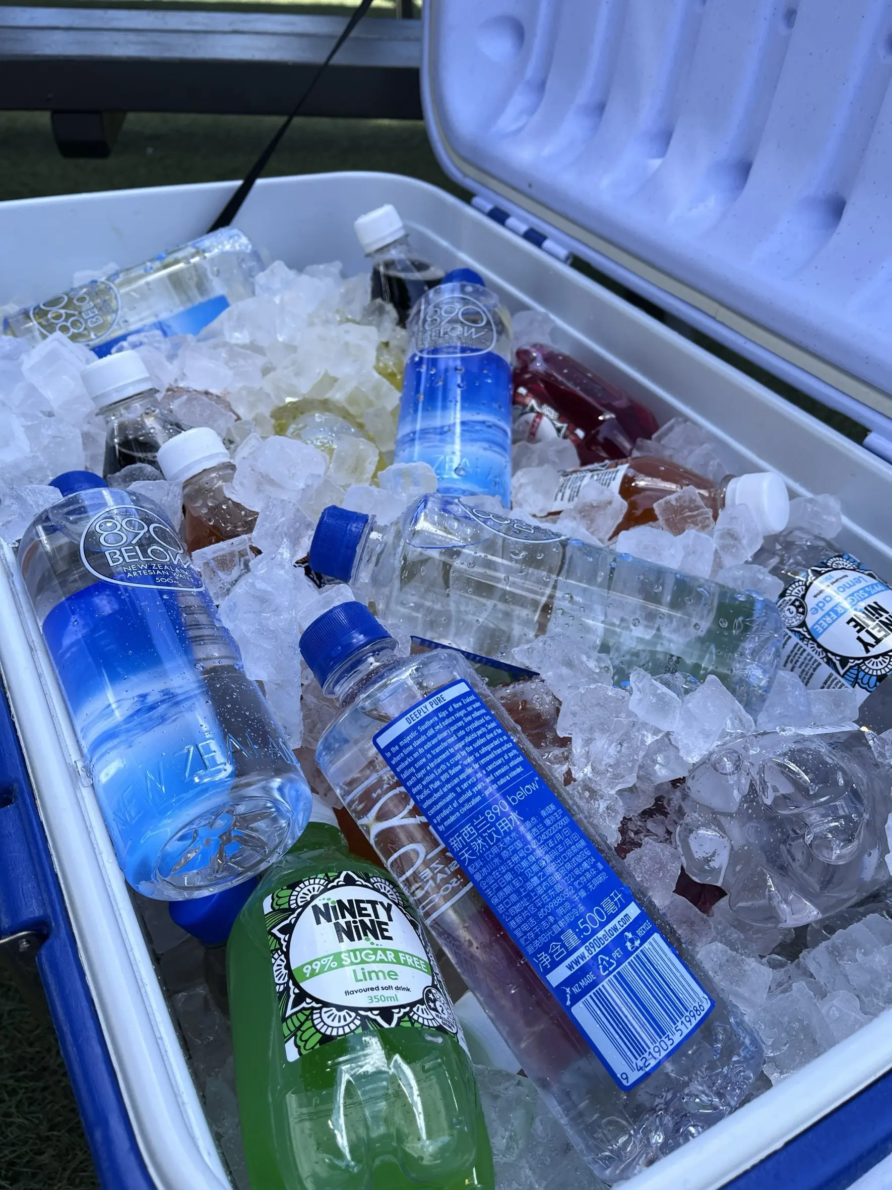 2024 12 Image 25